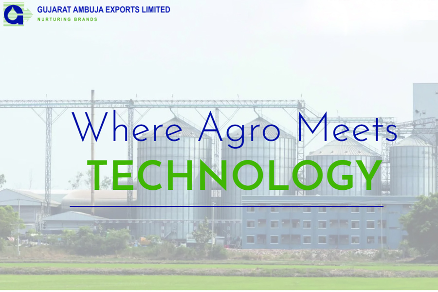 Gujarat Ambuja Exports Limited