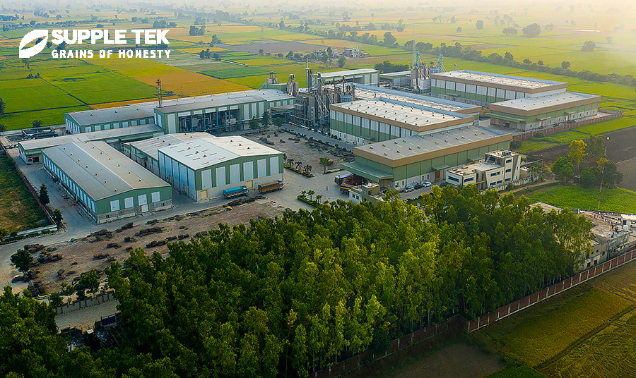 SSIEL Signature Grains