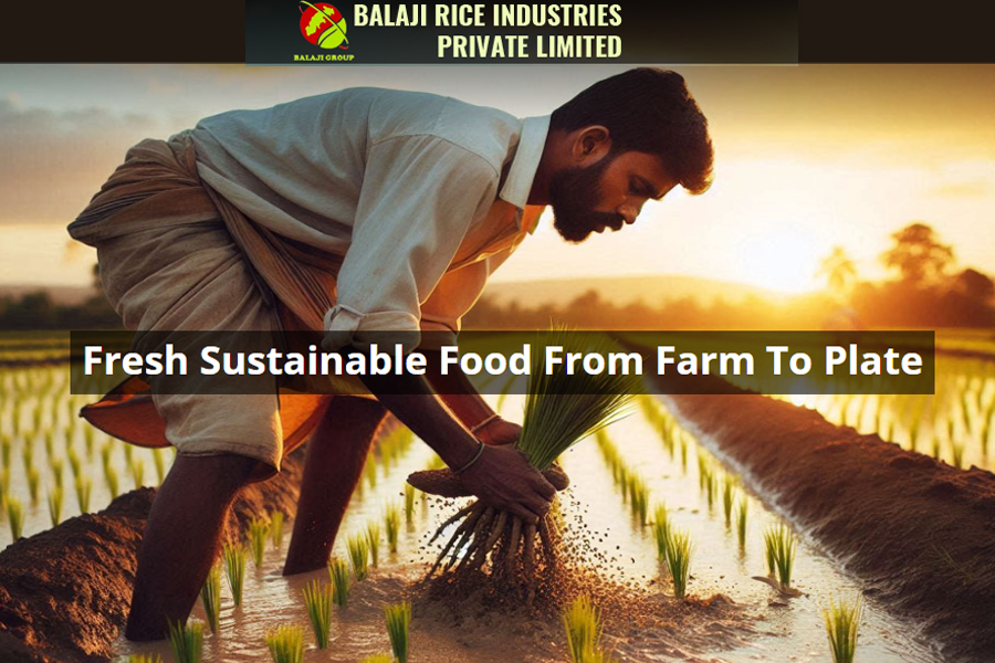 Balaji Rice Industries Pvt. Ltd.